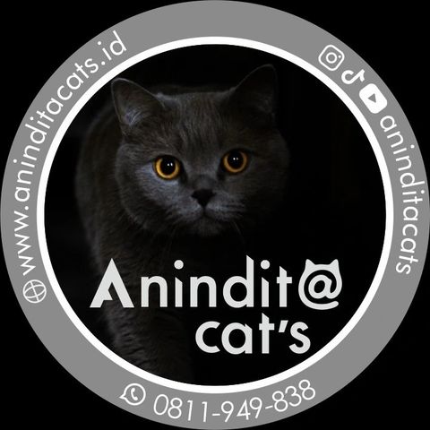 Anindita Cats's Profile Picture