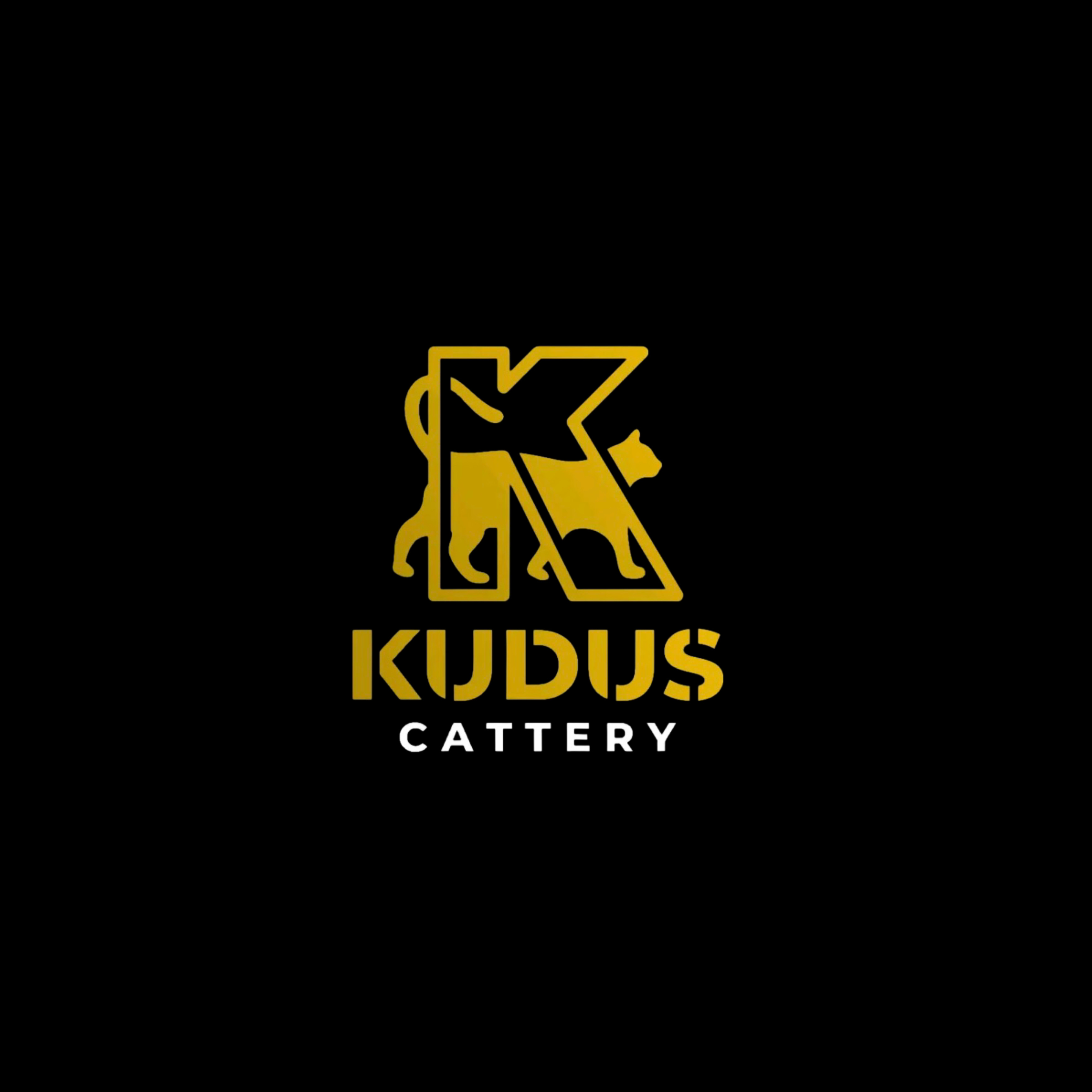 Kudus Cattery's Profile Picture