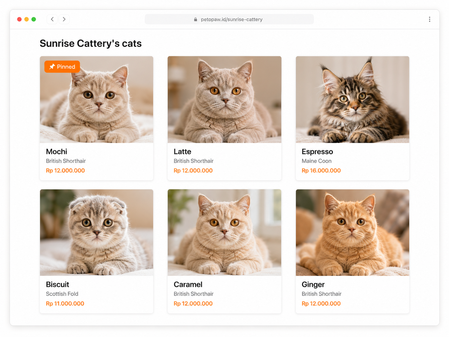 Pin your best cats to the top