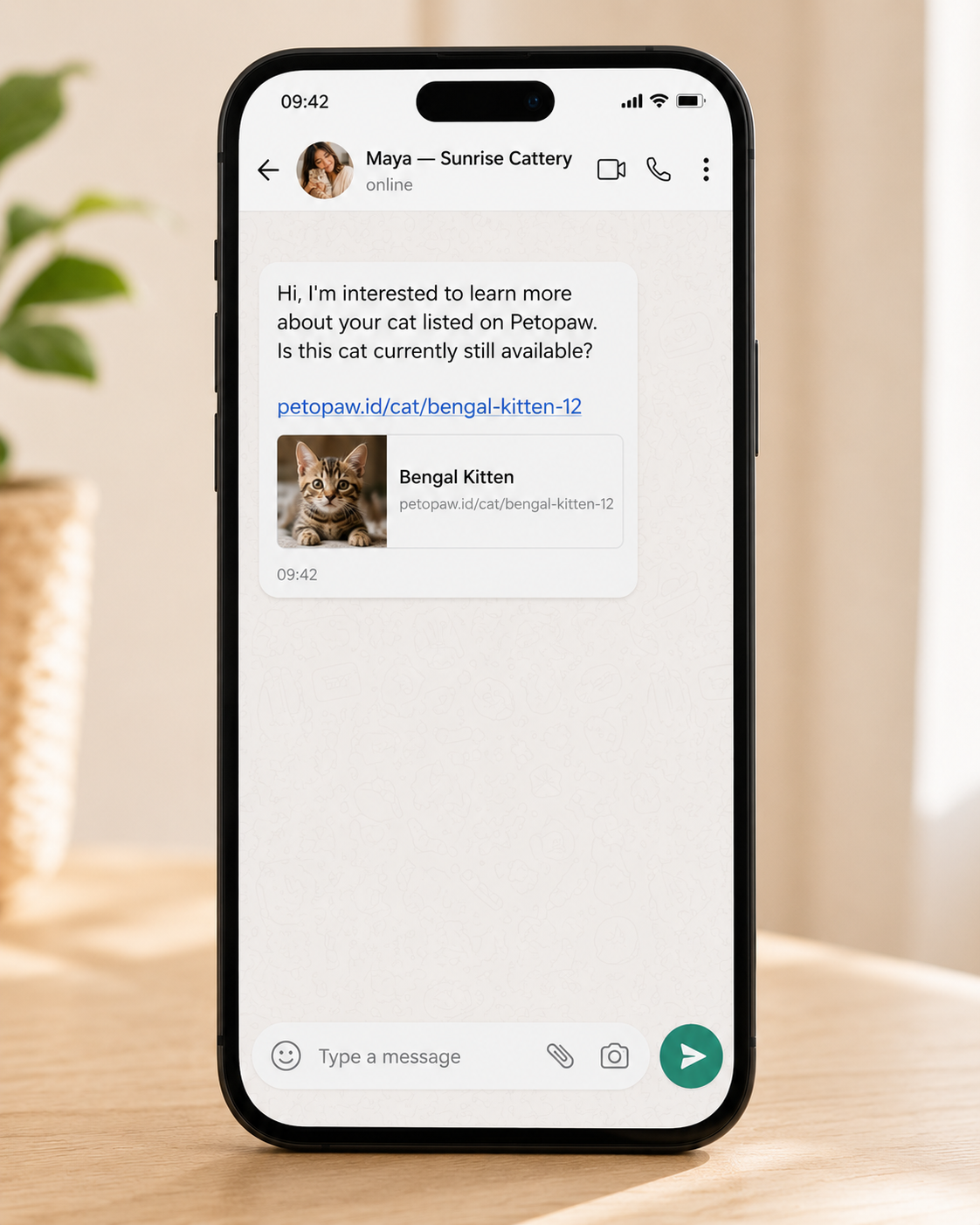 Adopters reach you directly on WhatsApp