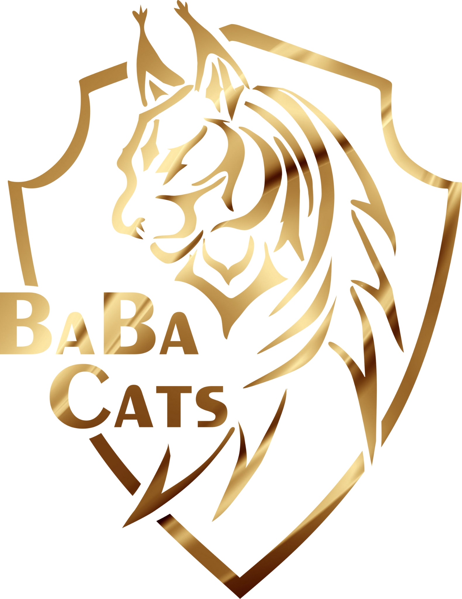 Baba Cats's Profile Picture